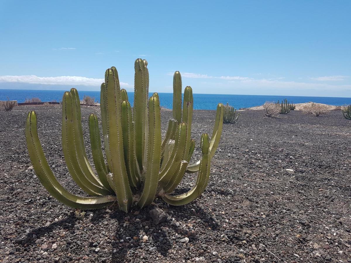 Tenerife Lizards - Duplex In The First Line 卡亚俄萨尔瓦赫 外观 照片
