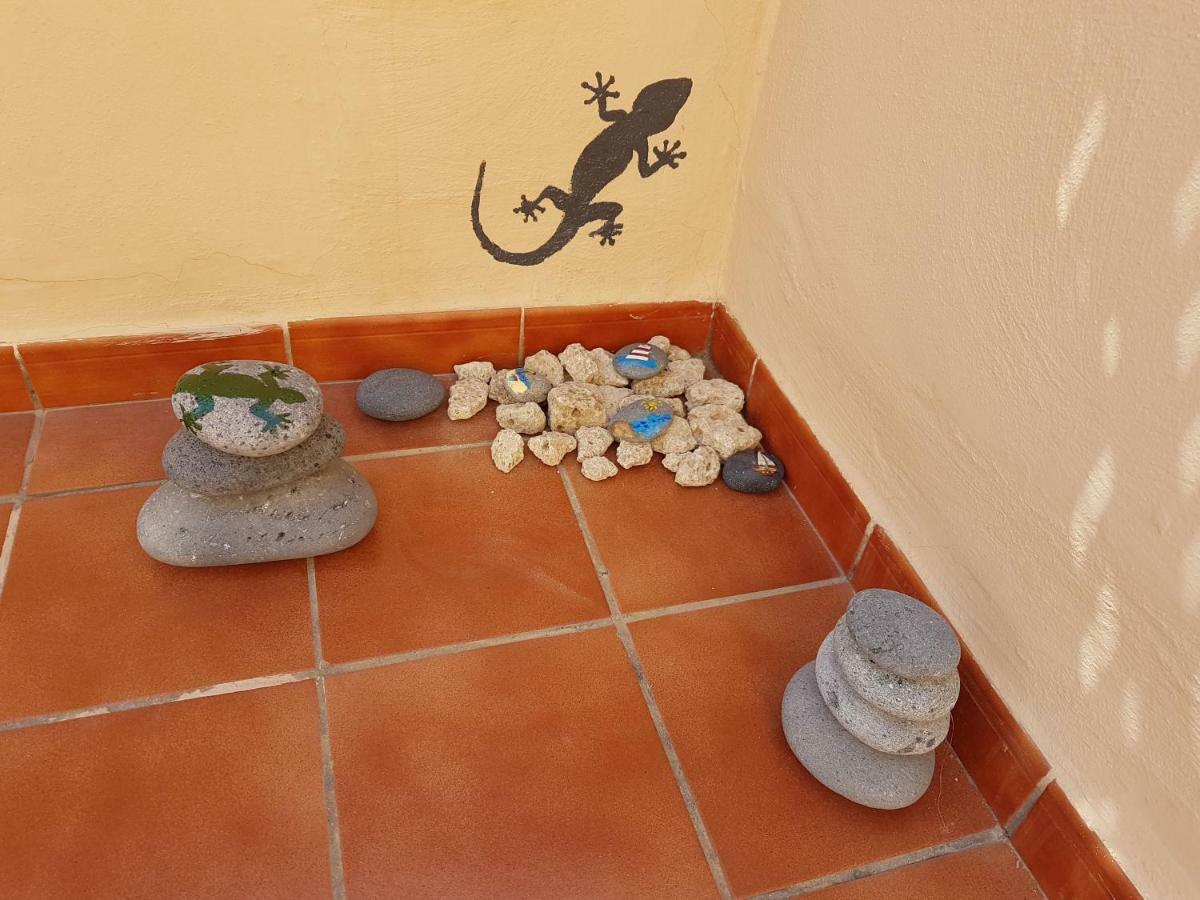 Tenerife Lizards - Duplex In The First Line 卡亚俄萨尔瓦赫 外观 照片